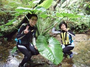 沖縄の自然体験・エコツアー：滝を目指す沢登りツアー