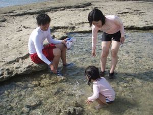 シュノーケリングツアー/沖縄/家族旅行/エコツアー/自然体験