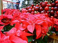 2011年12月25日