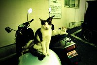 2011年12月17日