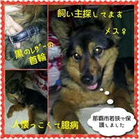 2012年05月19日