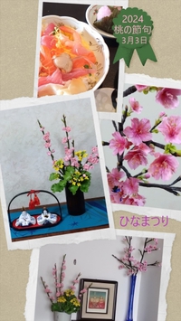 ひなまつり2024～可愛い桃の花