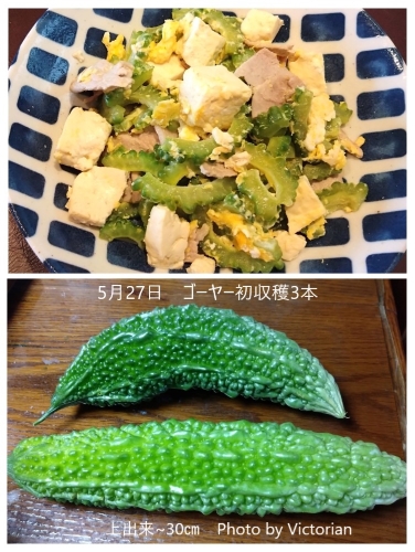 熱中症警戒アラート・・・夏バテ予防の滋養あるお食事を! 熱中症警戒アラート・・・夏バテ予防の滋養あるお食事を!