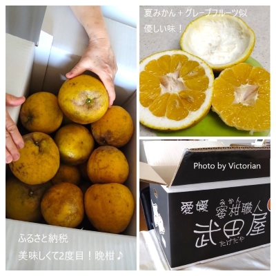 Happy Birthday 2024.8.10・・・我が家の末っ子も32歳! Happy Birthday 2024.8.10・・・我が家の末っ子も32歳!
