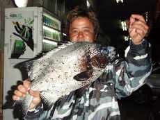 石鯛・石垣鯛釣果情報