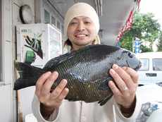 メジナ釣果情報