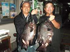 石鯛・石垣鯛釣果情報