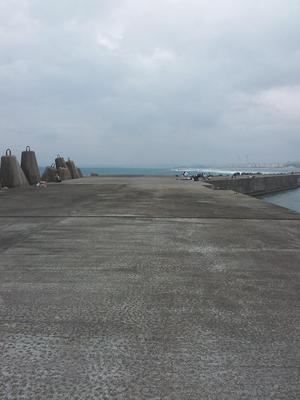 自家製ネリエ