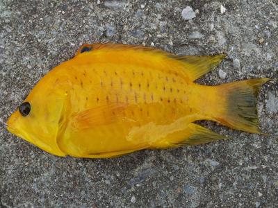 病は気から!?