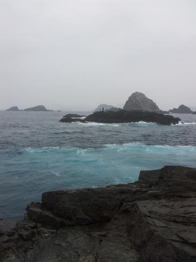 プチ遠征