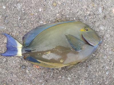 ここ最近をチャチャっと