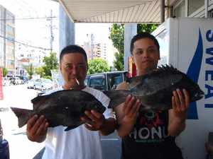 前回の釣行記
