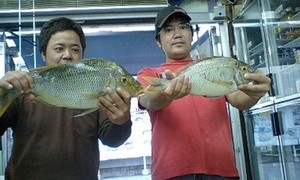 プロジェクト効果!?(笑)