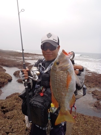 また変な魚が・・ 2012/04/22 20:10:00