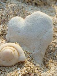 Nice to meet you...　はじめまして.. 2011/09/27 12:00:00
