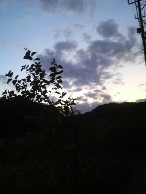 2011年10月03日