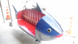 カツオだ☆光るぜ!