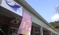 うれしいお知らせ