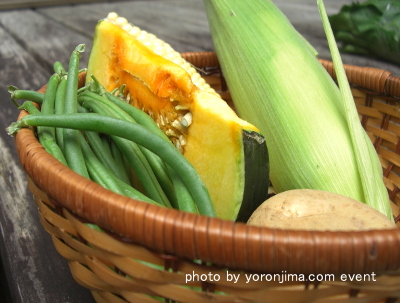 与論 わくわくフェスタ 野菜