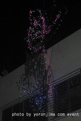 ヨロン イブ ツリー