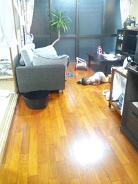2012年05月14日