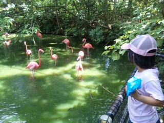 ネオパーク♪
