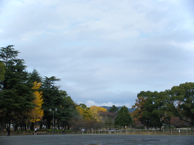 駿府公園