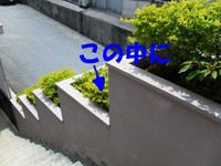 緊急報告！