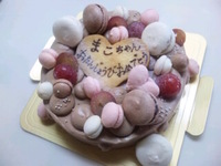 2009年11月26日