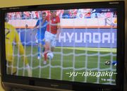・ワールドカップ サッカー観戦・