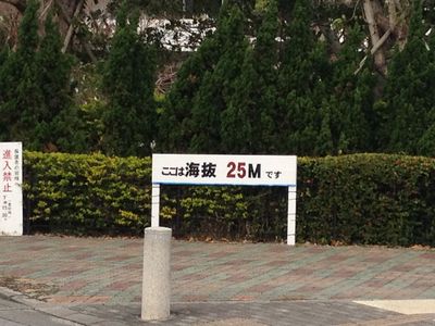 防犯意識の高まり。那覇市内で「海抜標記」をすごく見かける件