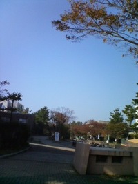 2006年11月03日