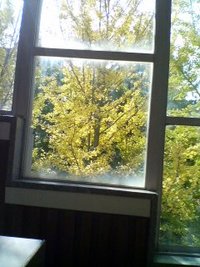 2006年11月04日