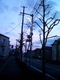 2007年03月23日