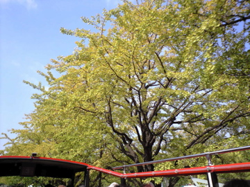 東京旅行を振り返る