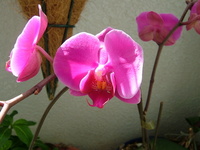 2007年02月21日