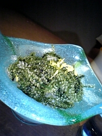 ぱいかじ 2007/06/25 19:47:29