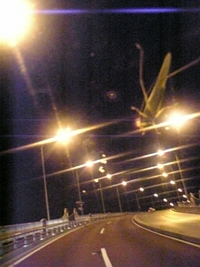 (￣▽￣；) 2007/08/17 02:41:23