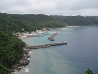 初釣り