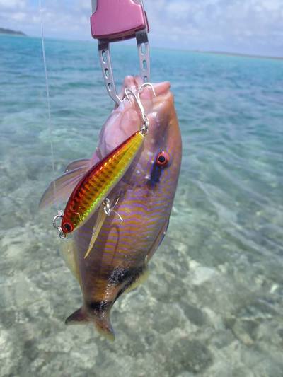 2015　7th　wading　 浸かれども浸かれども碧い海