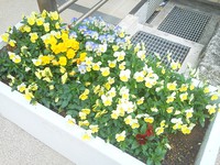 ♪ゴールデン♪ 2013/05/02 19:55:18