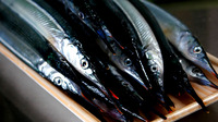 きむら食堂　仕込み 2013/03/08 00:43:22