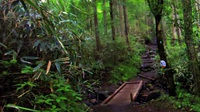 山登り２回目