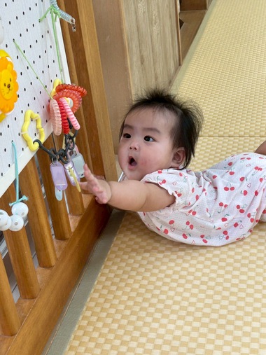 ひんやりつめた〜い⭐︎ひよこ