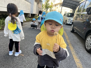 探検隊のいろんな発見⭐︎うさぎ組⭐︎