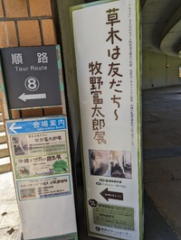 牧野富太郎展