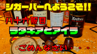 八十六服目　ラタキアとアイラ　ごめんなさい・・・ 2022/10/26 18:00:00