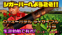 九十一服目　ロッキーパテル ディサイプル バラ　生涯勤勉で有れ！　ロッキー（６０歳） 2023/03/30 18:00:00