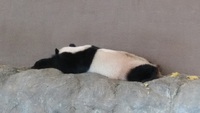 気づきという存在でありながら、形であるということ。 2018/05/27 12:40:04