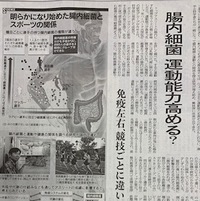 メディカルエステあらかき 美の処方箋ー 恐るべし腸内細菌 アスリート菌を増やすとパフォーマンスもアップ